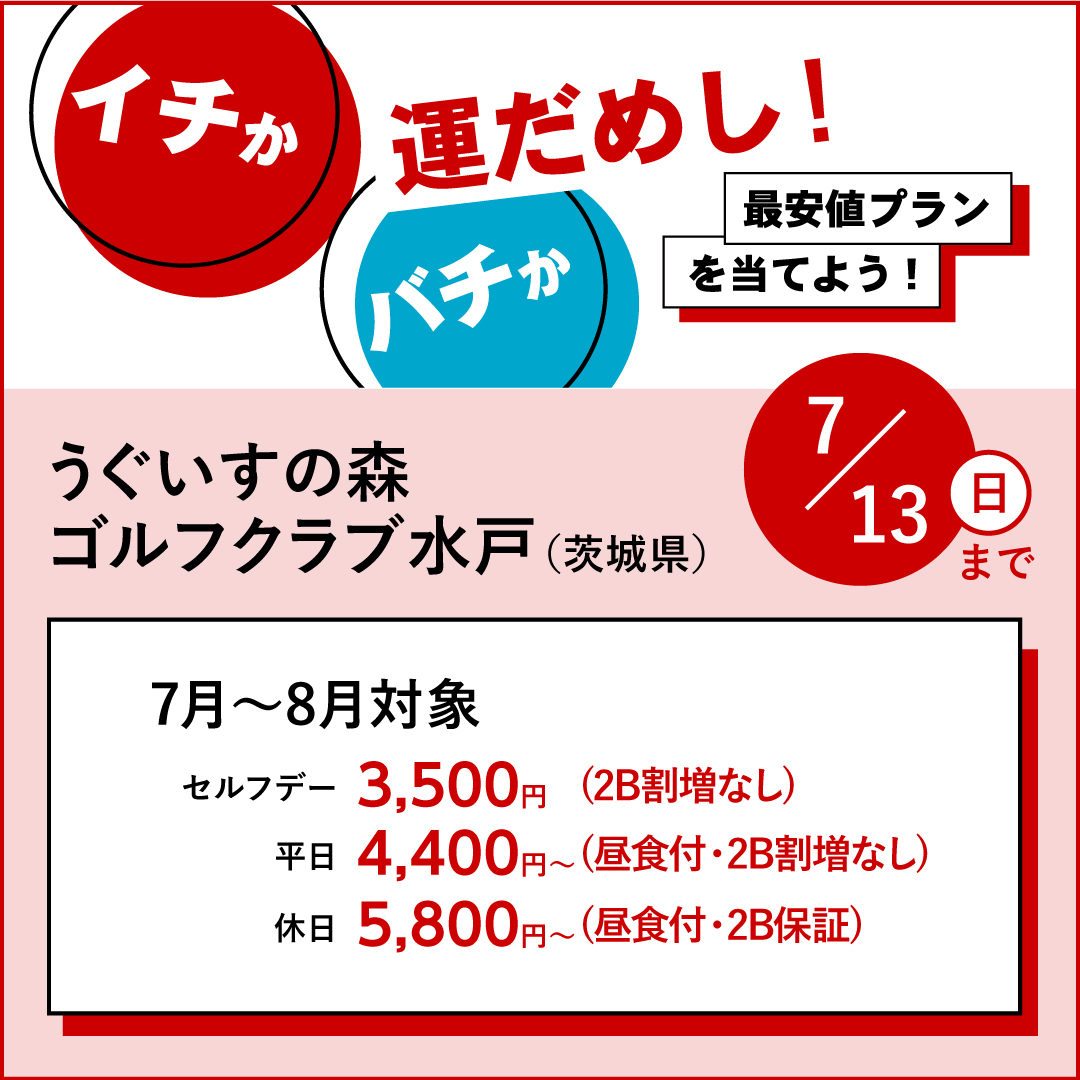 イチかバチか運試し「最安値プラン」を当てよう！
